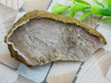 CAVE GEODE ROCK STONE LAPIDARY SPECIMEN