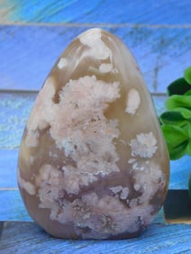 HATMANS FLOWER PETAL AGATE ROCK STONE LAPIDARY SPECIMEN