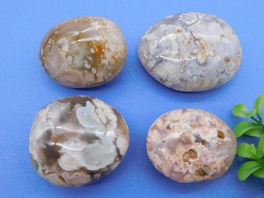HATMANS FLOWER PETAL AGATE ROCK STONE LAPIDARY SPECIMEN