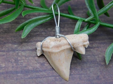 PENDANT ROCK STONE LAPIDARY SPECIMEN