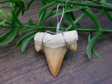 PENDANT ROCK STONE LAPIDARY SPECIMEN