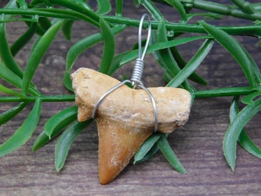 PENDANT ROCK STONE LAPIDARY SPECIMEN