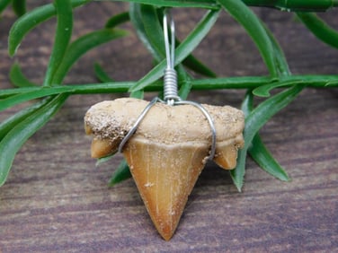 PENDANT ROCK STONE LAPIDARY SPECIMEN