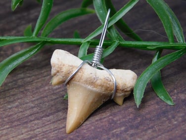 PENDANT ROCK STONE LAPIDARY SPECIMEN