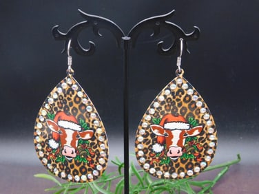 EARRINGS ROCK STONE LAPIDARY SPECIMEN