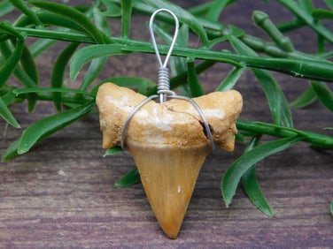 PENDANT ROCK STONE LAPIDARY SPECIMEN