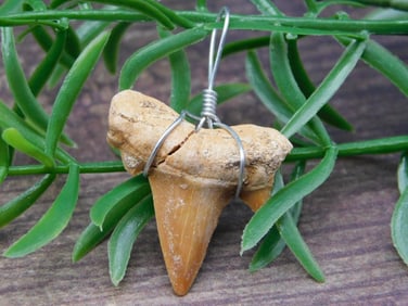 PENDANT ROCK STONE LAPIDARY SPECIMEN