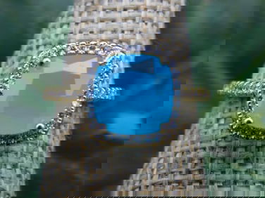 RING ROCK STONE LAPIDARY SPECIMEN