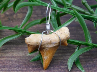 PENDANT ROCK STONE LAPIDARY SPECIMEN