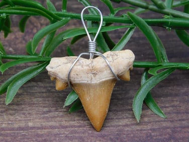 PENDANT ROCK STONE LAPIDARY SPECIMEN