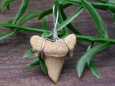 PENDANT ROCK STONE LAPIDARY SPECIMEN