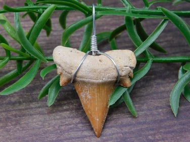 PENDANT ROCK STONE LAPIDARY SPECIMEN