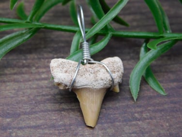 PENDANT ROCK STONE LAPIDARY SPECIMEN