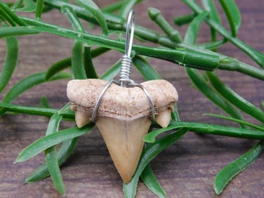 PENDANT ROCK STONE LAPIDARY SPECIMEN