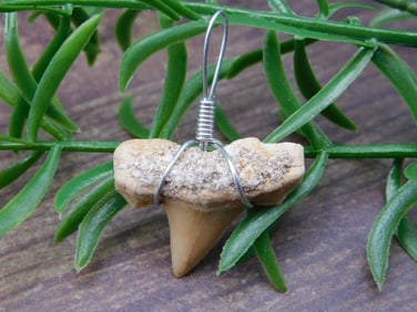 PENDANT ROCK STONE LAPIDARY SPECIMEN