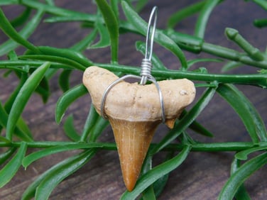 PENDANT ROCK STONE LAPIDARY SPECIMEN