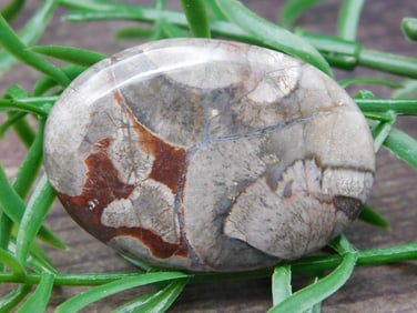 CABOCHON ROCK STONE LAPIDARY SPECIMEN