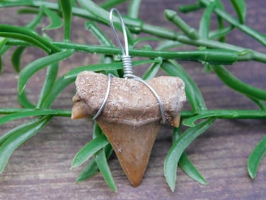 PENDANT ROCK STONE LAPIDARY SPECIMEN