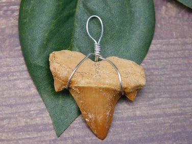 PENDANT ROCK STONE LAPIDARY SPECIMEN