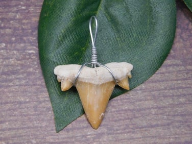 PENDANT ROCK STONE LAPIDARY SPECIMEN