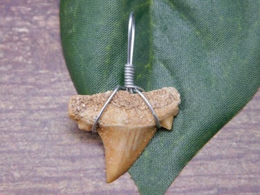 PENDANT ROCK STONE LAPIDARY SPECIMEN