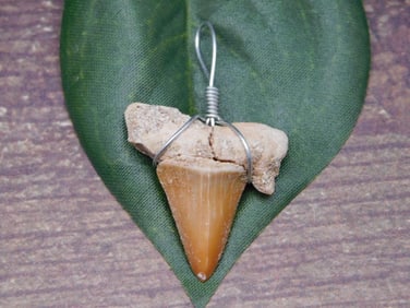 PENDANT ROCK STONE LAPIDARY SPECIMEN