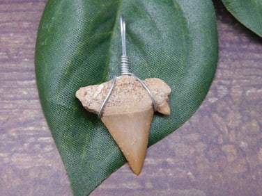 PENDANT ROCK STONE LAPIDARY SPECIMEN