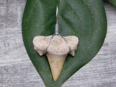 PENDANT ROCK STONE LAPIDARY SPECIMEN