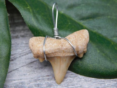 PENDANT ROCK STONE LAPIDARY SPECIMEN