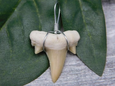 PENDANT ROCK STONE LAPIDARY SPECIMEN