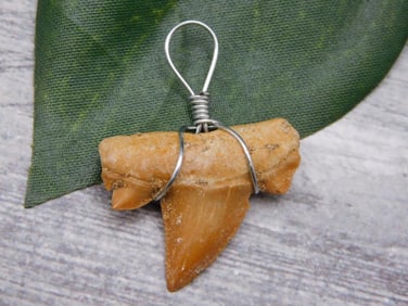 PENDANT ROCK STONE LAPIDARY SPECIMEN