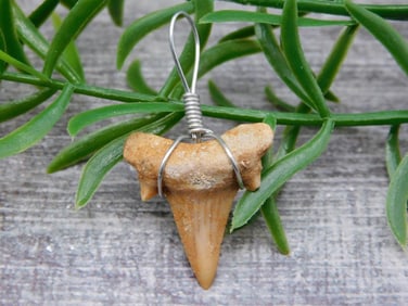 PENDANT ROCK STONE LAPIDARY SPECIMEN