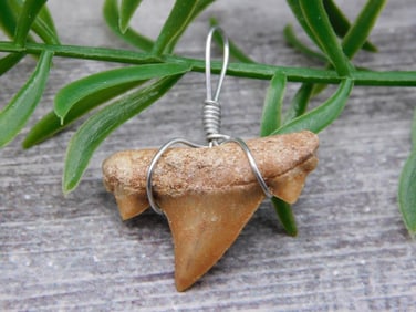 PENDANT ROCK STONE LAPIDARY SPECIMEN