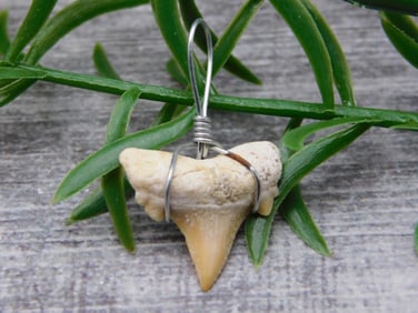 PENDANT ROCK STONE LAPIDARY SPECIMEN