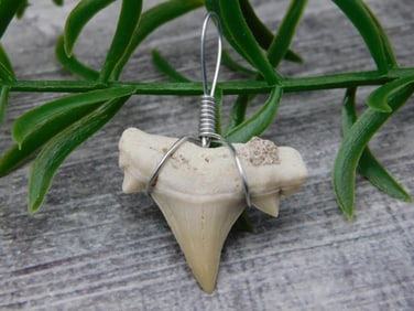 PENDANT ROCK STONE LAPIDARY SPECIMEN