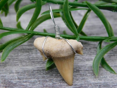 PENDANT ROCK STONE LAPIDARY SPECIMEN