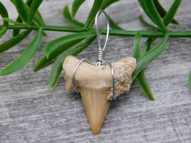 PENDANT ROCK STONE LAPIDARY SPECIMEN