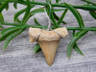 PENDANT ROCK STONE LAPIDARY SPECIMEN