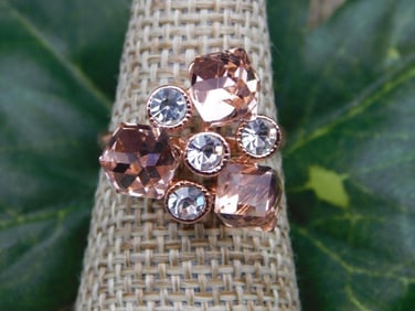 RING ROCK STONE LAPIDARY SPECIMEN