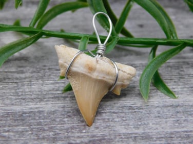 PENDANT ROCK STONE LAPIDARY SPECIMEN