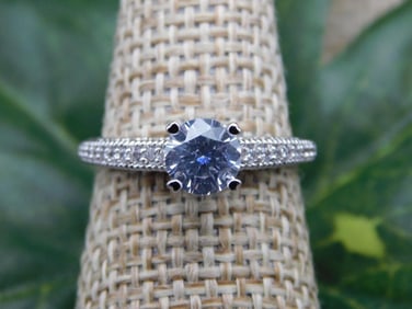 RING ROCK STONE LAPIDARY SPECIMEN