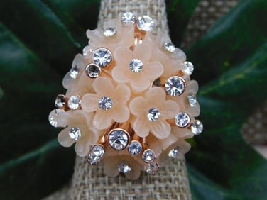 RING ROCK STONE LAPIDARY SPECIMEN