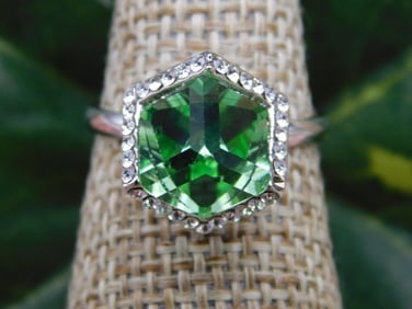 RING ROCK STONE LAPIDARY SPECIMEN