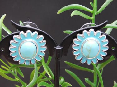 EARRINGS ROCK STONE LAPIDARY SPECIMEN