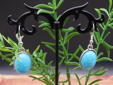 EARRINGS ROCK STONE LAPIDARY SPECIMEN