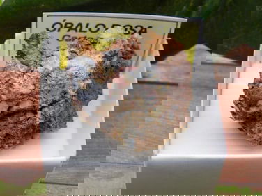 ROSE OPAL ROCK STONE LAPIDARY SPECIMEN