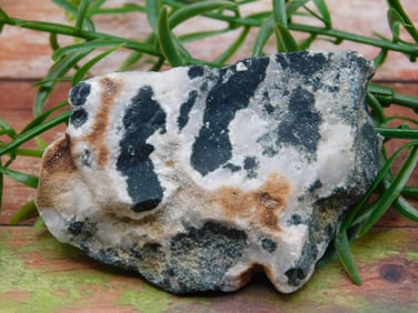 ROCK STONE LAPIDARY SPECIMEN