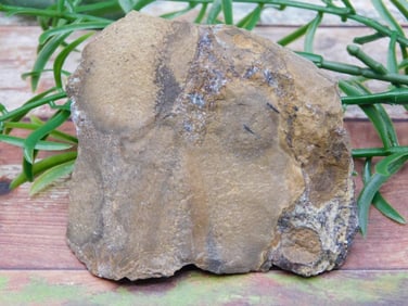 ROCK STONE LAPIDARY SPECIMEN