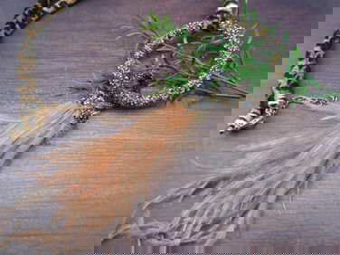 NECKLACE ROCK STONE LAPIDARY SPECIMEN