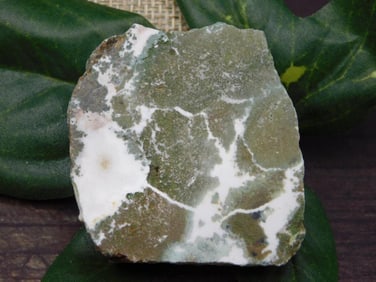 ROCK STONE LAPIDARY SPECIMEN